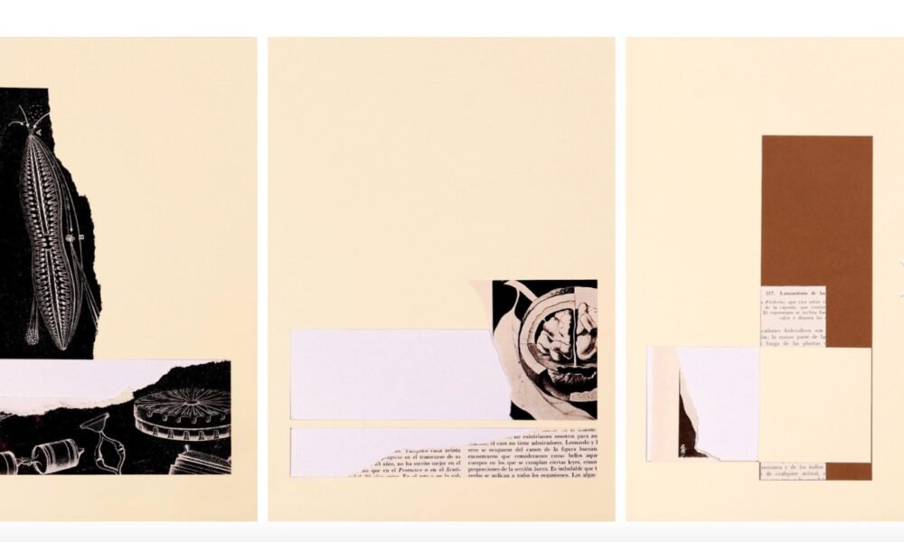 Rubiane Maia - Percepção Vital